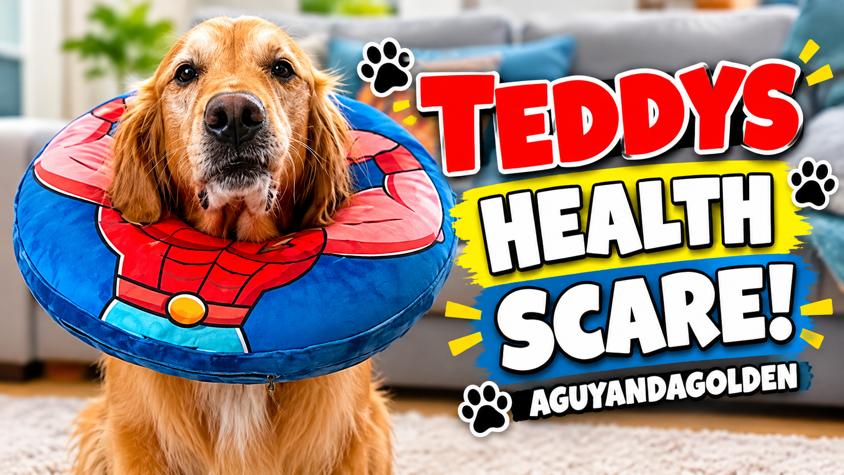 Teddy the golden retriever rests on the floor wearing an inflatable recovery collar