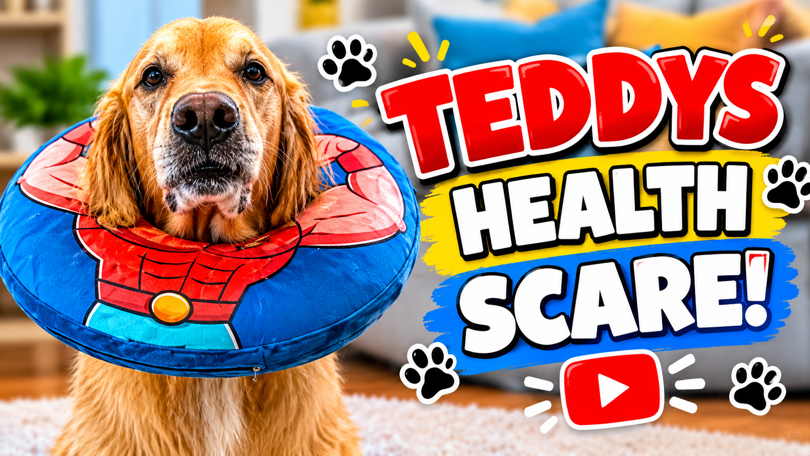 Teddy rests on the floor in a soft inflatable recovery collar after his spleen surgery