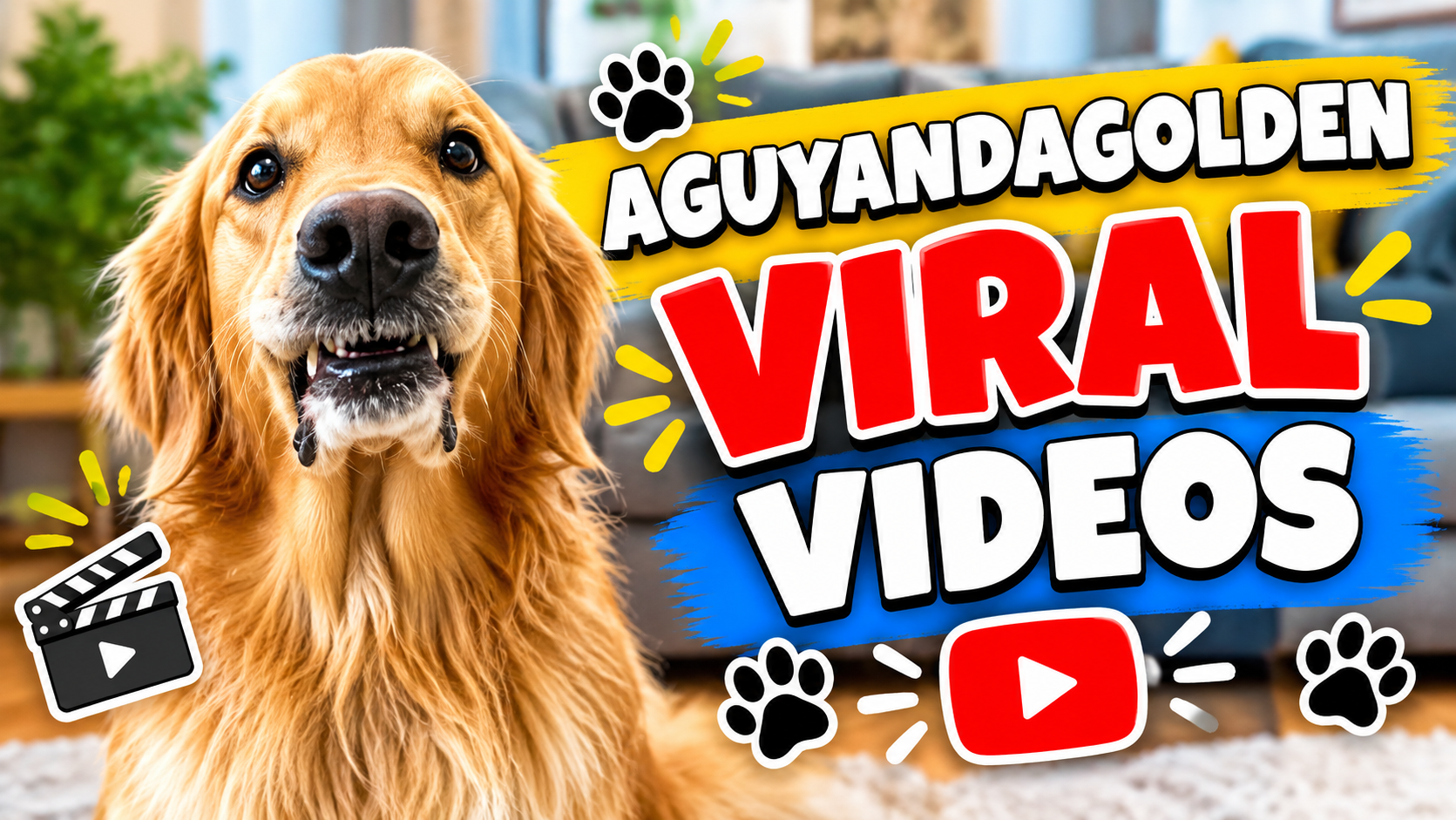 Teddy the Golden Retriever sits on the couch mid-chew with a wide, expressive look