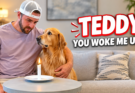 The Viral Tea Bag Prank, Tested on Three Very Good Dogs
